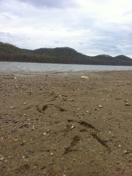 Lockegee Rock and Cave Run Lake